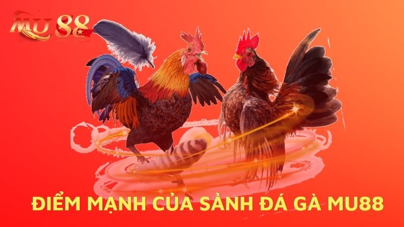 Điểm mạnh của sảnh đá gà nhà cái