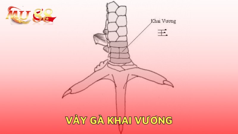 Vảy gà khai vương